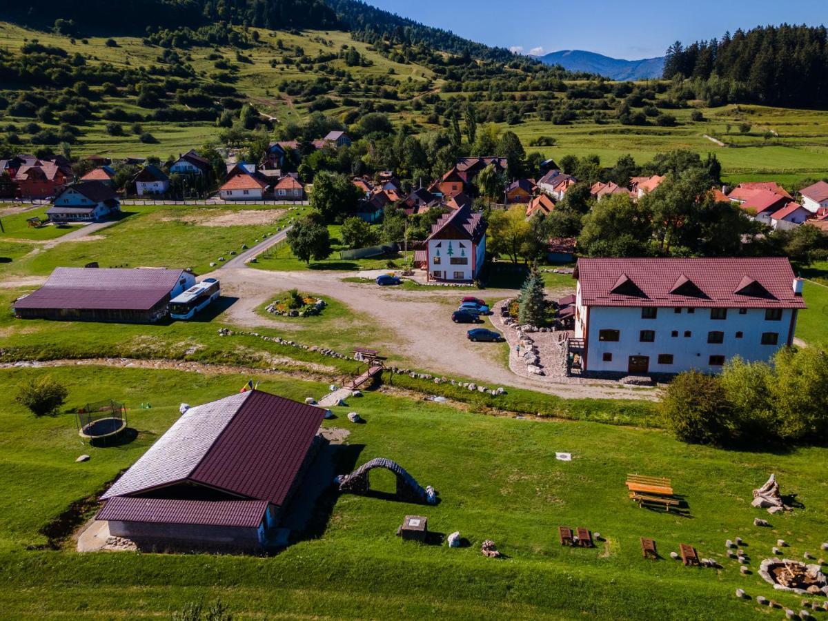 Pensiunea 3 Brazi Зернешті Екстер'єр фото